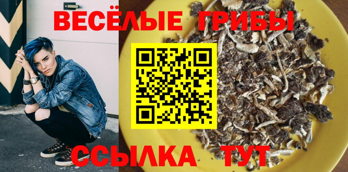 Богданович  Галлюциногенные грибы прущие грибы  Вход с VPN 