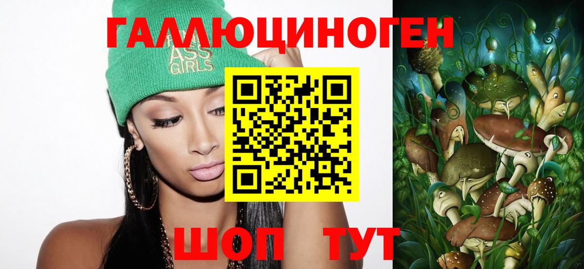 Галлюциногенные грибы Psilocybine cubensis Богданович