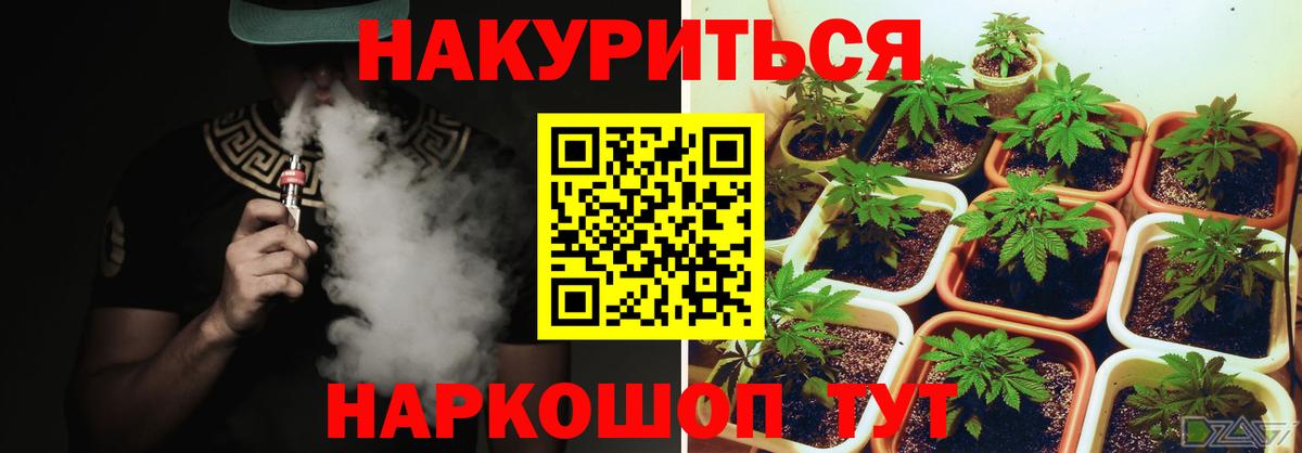 Каннабис OG Kush  Шишки марихуана семена  Вход с VPN  МАРИХУАНА индика  Богданович 